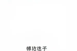 晚风留声宣发物料抄袭质疑事件封面